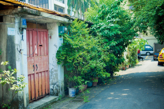 活用场景拍好照片小清新人像拍摄技巧详解4