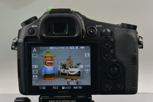 数码相机 > 正文  索尼rx10的菜单界面保持了黑卡系列一贯的专业风格