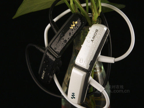 大牌产品纯音质 mp3关注度排行top10(5)_数码_科技时代_新浪网