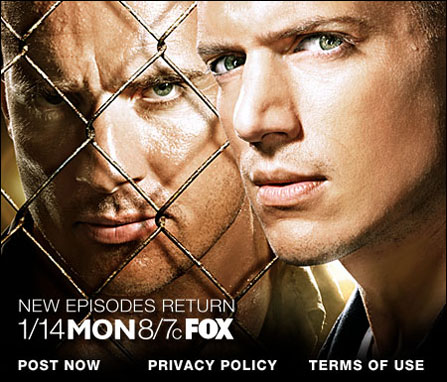 网络多精彩 电视也疯狂——佳的美改变影片观看方式