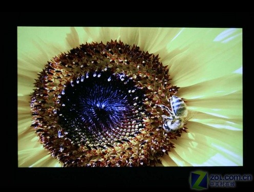 低价超短焦 明基mp512st家用投影机测试(5)