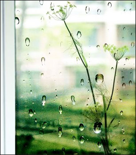 让雨滴诉说伤感 教你做忧伤的窗外雨滴lomo照片