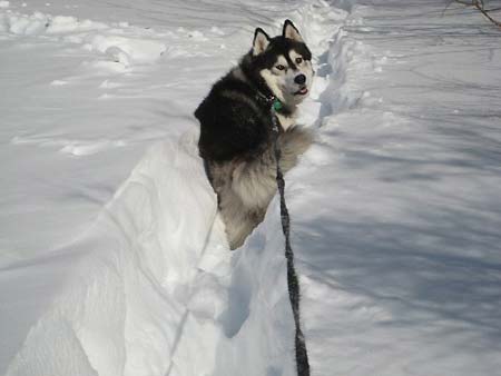 战壕比昨天深好多
