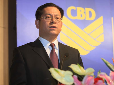 天津市河西区区长彭三(资料图片)