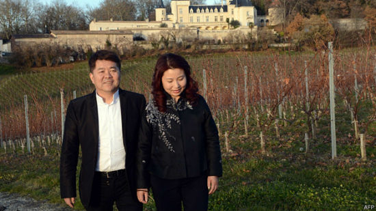 法直升机失事香港富商父子遇难刚成收购酒庄