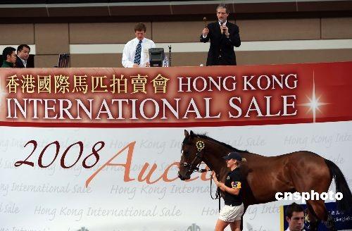 香港举行国际马匹拍卖会