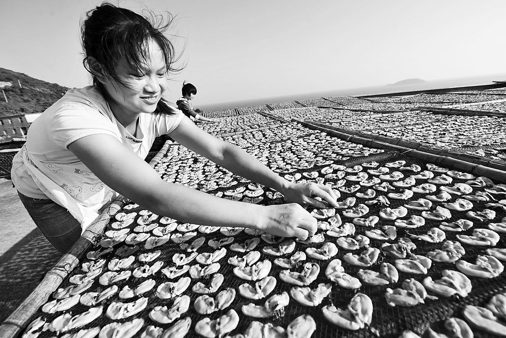 海上牧场蝴蝶飞