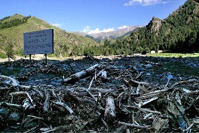 天山北坡谷地森林六成遭山洪损毁(图)_新闻中心_新浪网