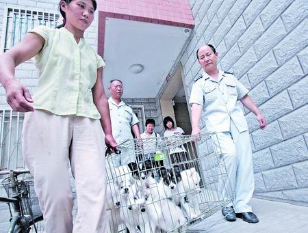 居民楼里私开“狗场”不查你查谁_新闻中心_新浪网