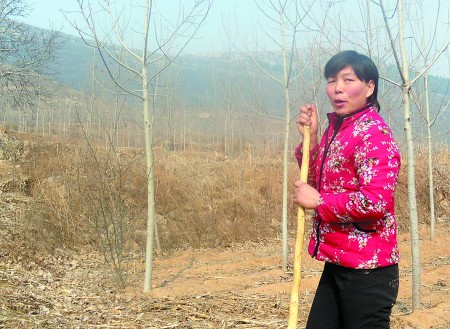 李凤银和她的大山情结