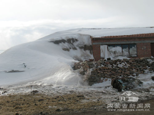 内蒙古锡林郭勒盟遭遇雪灾袭击(组图)