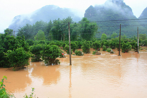 广西北部地区遭遇200毫米以上特大暴雨
