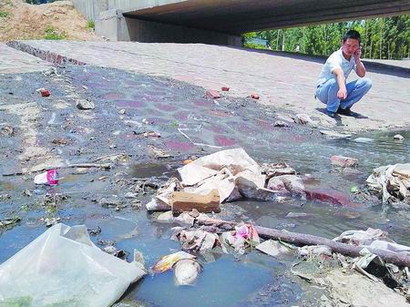 府南河污染状况图片