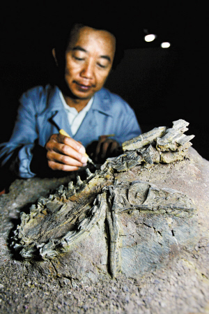 10月6日,考古人员对在云南禄丰县新发现的恐龙化石进行清理,研究