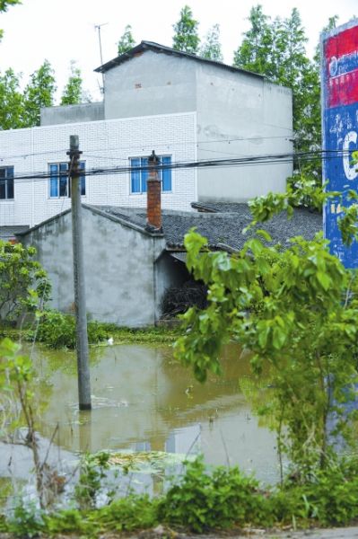 新都區木蘭鎮被大雨淹沒的良田