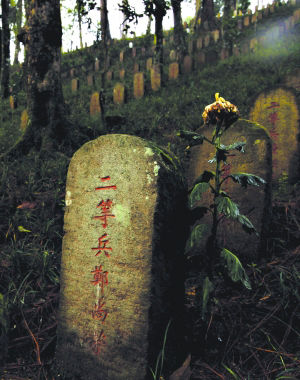 19位中国远征军阵亡将士回家