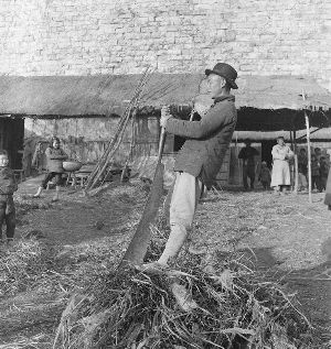 数百张南京老照片藏身哈佛大学,你能认出拍的哪儿吗?