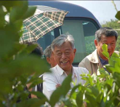 种橙85岁褚时健成亿万富翁