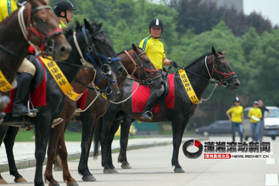 长沙街头马队帅气过街 宣传低碳生活[视频]