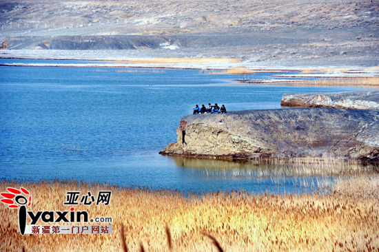 新疆白鸟湖保护项目获得世界自然保护基金会(wwf)资助