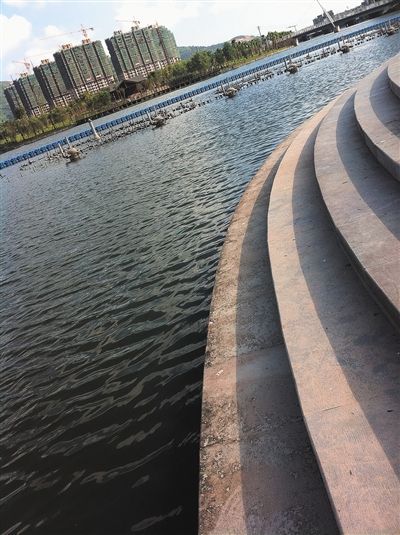 乐清一公园亲水平台台阶布满青苔 频频有人落水