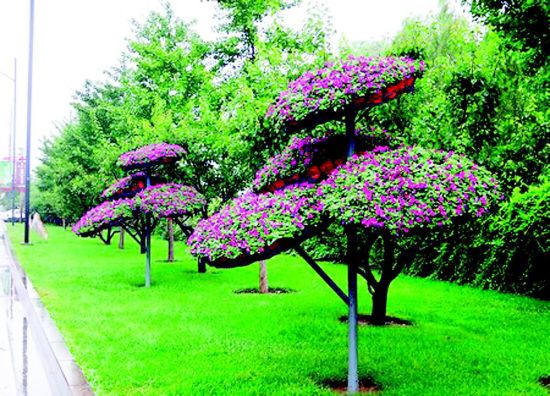美丽的造型……这几天,由滨河公园精心打造的30组立体花树一亮相