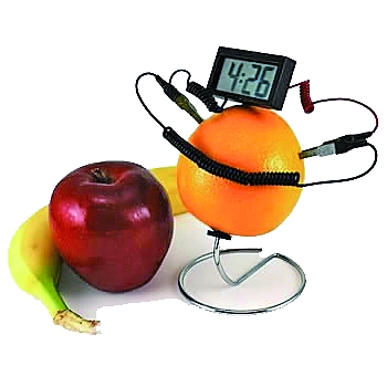 (资料图片)实验中,这些可怜的柠檬被插成了刺猬橘子柠檬也能发电,这个