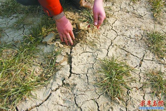 山东已达特大干旱等级可能近百万人吃水难图