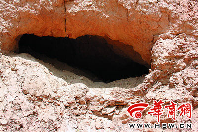 村民大挖"龙骨石"卖钱(图)