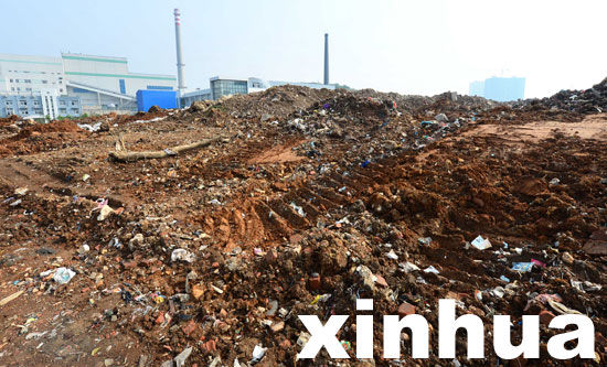 武汉城管承诺清查垃圾山无果回复上级称已杜绝