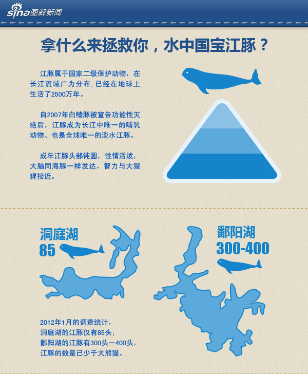 专家称虽然江豚现在仍旧是国家二级保护动物,但就其种群数量和遭遇的