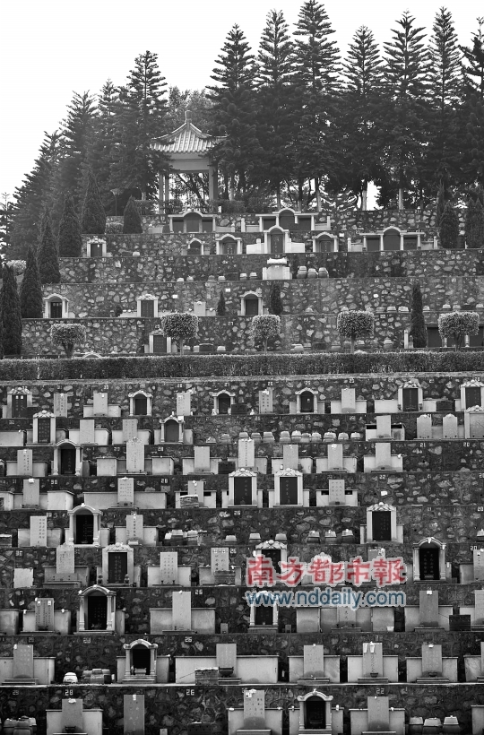 东莞茶园山永久公墓图片