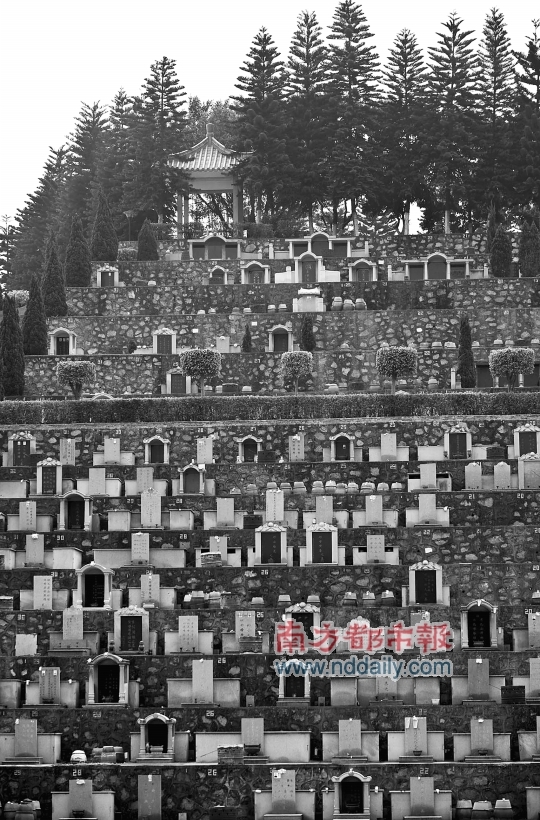 东莞最大公墓"年亏几百万 没发死人财"