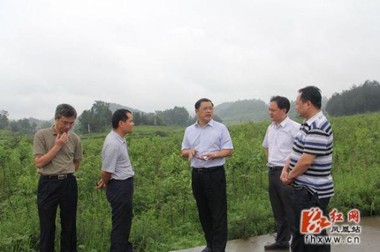 省财政厅副厅长欧阳煌一行到凤凰县调研
