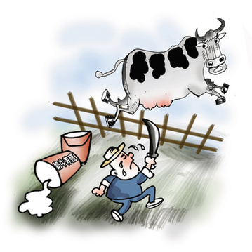 乳品不景气现杀牛卖牛 广州15年来首现奶农弃养