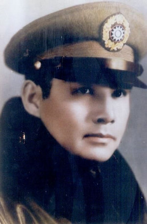 外媒张灵甫遗骨迁葬家乡掀波澜