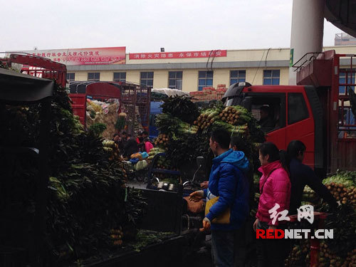 耒阳蔬菜批发市场