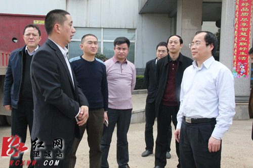 长沙望城区委书记谭小平检查节前安全生产工作