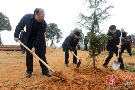永顺县四大家领导参加义务植树活动