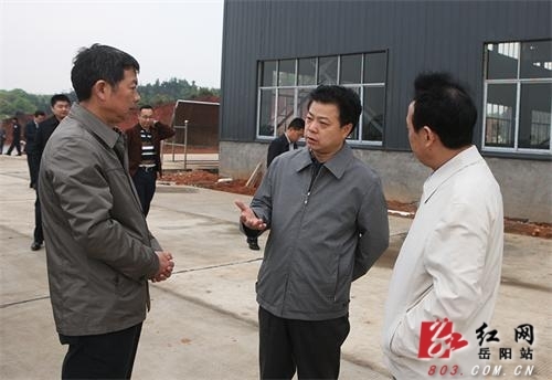 岳阳市市长盛荣华在汨罗市调研督查"135"工程建设