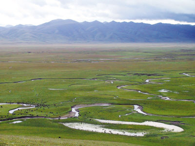 5万亩,是青藏高原湿地面积较大,特征明显,最原始,最具代表性的高寒