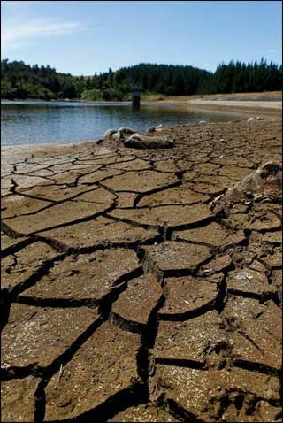 天氣預報 > 正文 新西蘭15日宣佈,整個北島30年來首次遭遇嚴重乾旱