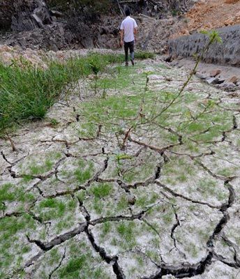 一处小山坡种植的茶苗因干旱枯死(8月13日摄)江南水乡浙江,河网密布