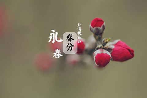 春分是什么意思(春分节气的含义是什么)