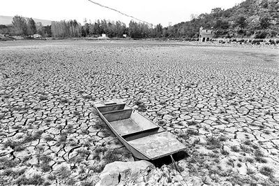 目击河南63年来最重旱灾(组图)