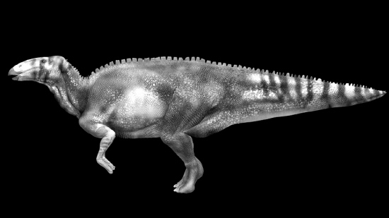 最完好恐龙干尸