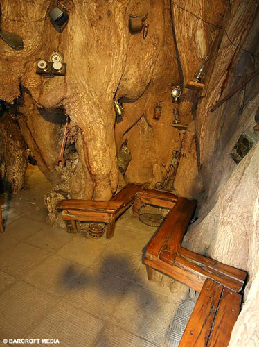 有一棵异常高大的猴面包树,需要四十名成年人完全伸展胳膊才能将其环