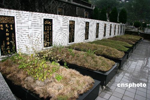 台北写真雨中寻访回民公墓白崇禧亦葬其间