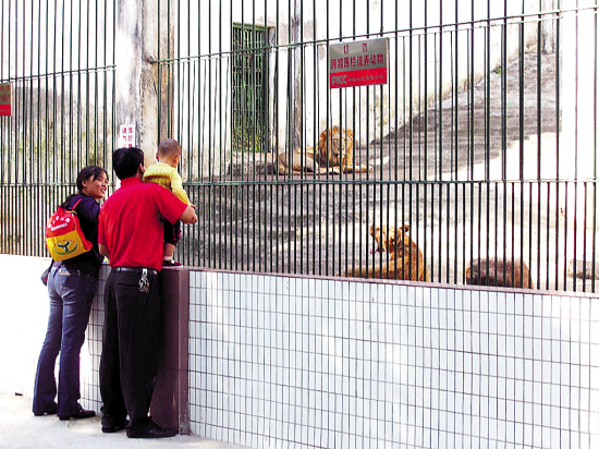 新會動物園350只動物要