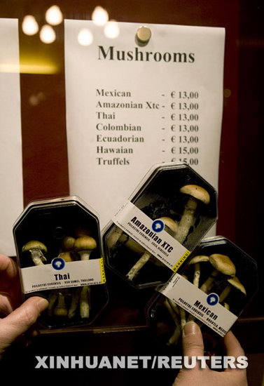 荷兰将禁种禁售致幻蘑菇(图)